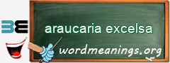 WordMeaning blackboard for araucaria excelsa